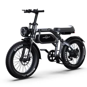 New Style Adult Electric Fat Tire Bike 20inch 1000W Rear Hub Motor Steel Frame Rechargeable Electric City & Mountain Bike