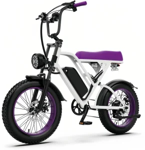 New Style Electric City Bike for Adults Electric Bike with Rear Hub Motor Pedal Assist for Leisure 20inch Fat Tire Bicycle