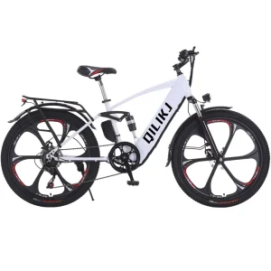 New Style Electric Mountain Bike 400W 48V 24AH Electric Bike Adult Electric Mountain Bicycle