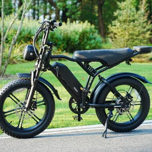 New model 20 inch 48V 350W large wheel electric bike adult electric bike pedal assisted electric bike for sale