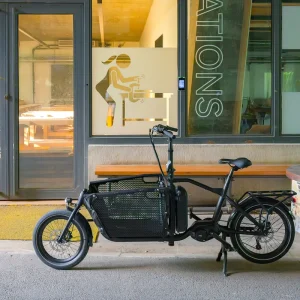 Newest Aluminum Alloy Frame Cargo Bike 9 Speed Hydraulic Disc Brakes 180kg Load Capacity Family Commute Bicycle