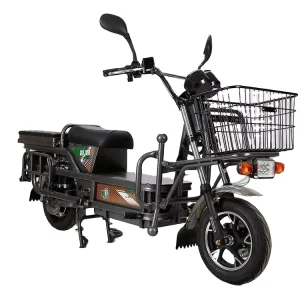 Newest Electric Cargo Bike 2 Wheels Motor Dirt Bike Heavy Duty Motorcycle