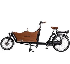 Nexus 3 Speeds Cargo Clamber Cargo Bike Bike Bicycle Electric for Adult 2 Wheel Steel Lithium Battery LCD Brushless