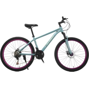 No Mudguard 24/26 Inch 21 Speed Aluminum Alloy Mountain Bicycle With Brake Mountain Bike 29 Mountainbikes