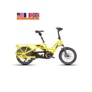OEM 2 Wheels Cargo Bike Electric 36V 13.4ah 500Wh Double Lithium Battery Delivery Cargo Ebike for Family Use