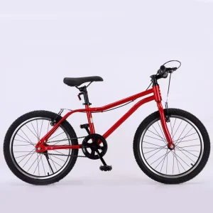 OEM 20 22 Inch Single Speed Mountain Youth Teens Kid Bicycle for 9 10 Years Old Children