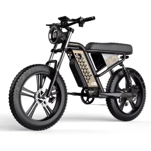 OEM 20-inch 750 W Aluminum Alloy Brushless Sport Electric Hybrid Bicycle with 48 V 15 Ah Lithium Battery, Rear Hub Motor, 50 km/h, Fat Tires