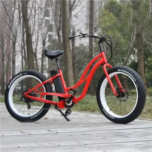 OEM 20 Inch Trek Mountain Bike Fat Tire Beach Cruiser Bike 36V 48V Step Through Ebike Customized Electric Fat Bike
