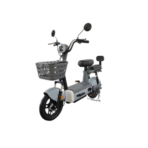 OEM 25KM/H Max Speed Two-Wheeled Motorcycle Electric Motorcycle Electric Scooter Electric Bike