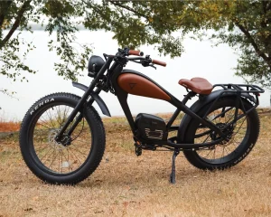 OEM Custom Electric Mountain Bike, 26-Inch Fat Tires, 750W, 7-Speed, Aluminum Frame, Disc Brakes, Rear Hub Motor, Dual Battery
