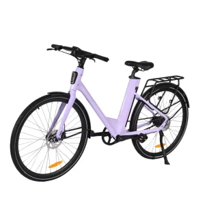 OEM 27.5inch City Electric Bike 250W/350W Rear Hub Motor Single Speed with Hidden Battery