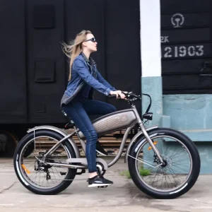 OEM Factory Electric Hybrid Bicycle Motor Electric Bicycle 48V 500W Integrated Lithium Brushless Motor Aluminum Alloy Frame Fat Tire 26 x 4.0