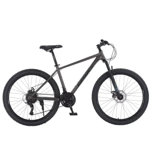 OEM Accepted 26 Inch Lightweight Mountain Bike Bicycle for Men Cycle Bicicleta