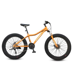 OEM All Terrain Bike Custom Logo Fat Tire Bicycle