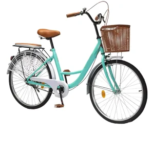 OEM Bicycle for Women Made in China 26 Inch Lady City Bike