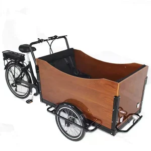 OEM Cargo E Bike Electric Cargo Bike Family 3 Wheel Electric Cargo Bike