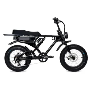 OEM Customized 20 Fat Tire Electric Bicycle 48V Lithium Battery Full Suspension 7-Speed Hydraulic Disc Brakes Electric Bikes