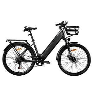 OEM Electric Bikes for Adults with Lithium Battery and Disc Brake for Family Outdoor Leisure Activities