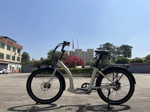 OEM Factory Customized E Bike Lithium Battery 350w Motor Vintage Cafe Racer Electric Bicycle Fat Tire Electric Road Bike