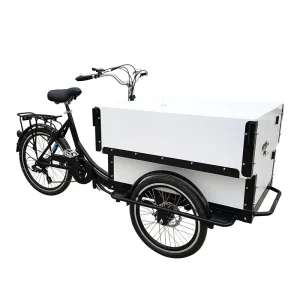 OEM Large Space Pedal Assisted Electric Cargo Urban Bike for Family