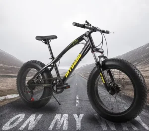 OEM Mountain Bike New Type Bike From China Adult Mountain Bike