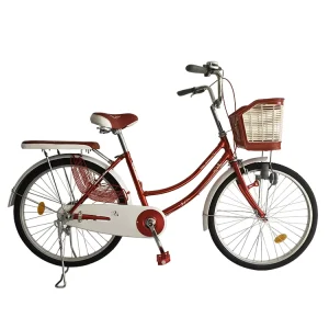 OEM New Design 20 Inch Factory Fashional Sharing Bicycle Women