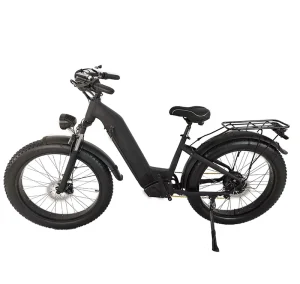 Factory OEM/ODM 26-Inch Fat-Tire Electric Bicycle, Hybrid Urban/Off-Road Mountain E-Bike, 750W/1000W
