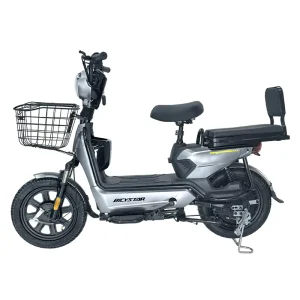 OEM ODM 350W 48V Electric Bike Bicycle 14 Inch LEAD ACID Battery E Mobility Scooter Electric City Bike
