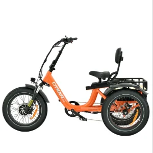 OEM ODM 48V 750W 3-Wheel Lithium Battery Aluminum Alloy Frame Fat Tire Delivery Cargo Trishaw Electric Tricycle Rear Carrier