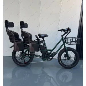 OEM ODM Factory Multifunctional Cargo Ebike Long Range Two Wheels Cargo Electric Bike
