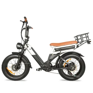 OEM ODM Fat Tire Retro Electric Mountain Bike Commuting Dual Disc Brakes 1000W+1000W 20 Inch 48V 7-Speed E-Bike