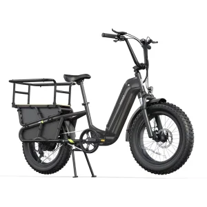 OEM ODM Long Tail Cargo Electric Bicycle 48V 250W