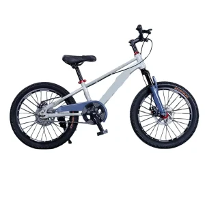 OEM Youth Bicycles 18 24 Inch Disc Brakes Steel Frame City Bike for Boys Girls Children