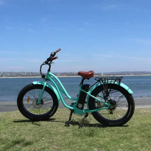 OEM Custom 48V/52V Hummer Electric Bicycle, Beach Cruiser, Rear Hub Motor, Smart Sensor Type, Lithium Battery, Road Bicycle