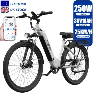OT05 Adult Hybrid Electric City E-Bike 36V 18.2AH 250W Lithium Battery 7 Speed Sensor