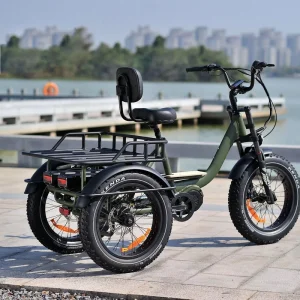 OTM OTMAR 48V 500W 20*4.0 Fat Tire Mid Drive Lithium Battery 3 Wheel Electric Cargo Bike with Long Range