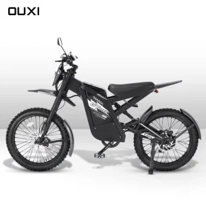 OUXI Brushless High Speed Aluminum Alloy Lithium Battery Ebike Mountain Bike Beach Cruiser Fatbike GT2000