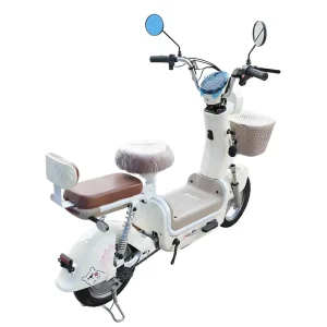 Off Road Electric Motorcycle Electric Motorcycle Electric City Bike Rechargeable