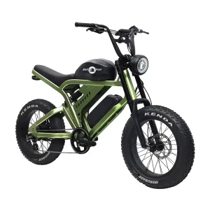 Off Road Long Range Electric Bicycle Cycles Velo Electrique Dirty Fat Tire Electric Ebike Super Electric Bike