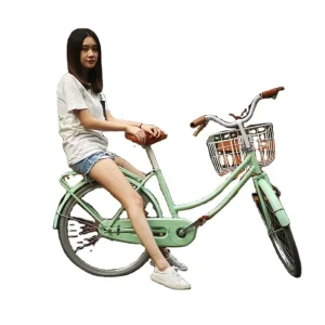 Old Style City 20 24 Inches Ladies Bicycle Customizable OEM Bike for Woman with Basket