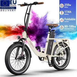 Onesport Adult Fat Tire Electric Folding Bike 250W Suspension 48V Woman Electric Bicycle EU Warehouse Foldable City Use E Bike