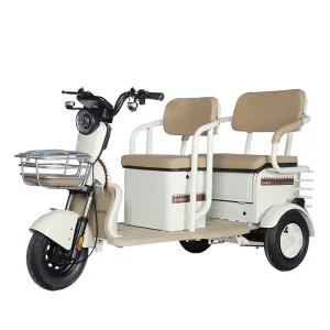 Open Body 60V Electric 3-Wheel Tricycle 200kg Payload Capacity Leisure Cargo Bike for Adults Touring Motorcycles