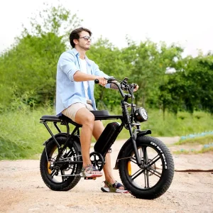 Original V8 Fat Tire Bike 1000w 48v 12ah 15ah Mountain Bike With 12ah Fatbike for Offroading Community