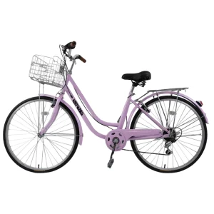 Outdoor City Bike for Women Adults 20 Inch Disc Brake Steel Single Speed Bike Full Shockproof Frame Customized Chinese Factory