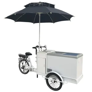 Outdoor Mobile Business on E Wheel Battery Powered 250W Motor with Cargo Box