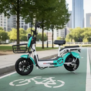 Passengers 500W Brushless Motor 48V Lead Acid 3 Speed Disc Brakes 50km/h Family Friendly Electric City E Bike