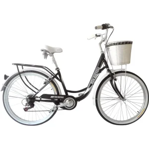 Poland Style Retro City Bike Fashion Bicycle for Lady Chinese Women Girls City Bike Street Bicycle City Bicycle