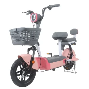 Popular Electric Bike 48V Bicycle with Pedals for Man