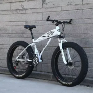 Popular Sports Bicicleta Cycle Men Mountain Bicycle 4.0 Fatbike Fat Tire Bike With Good Tyre