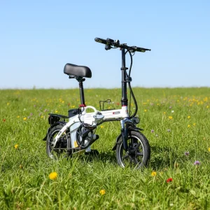 Portable Folding Electric Bicycle 14″ 48V 6Ah 10Ah 15Ah Lithium Battery Commuting Ebike